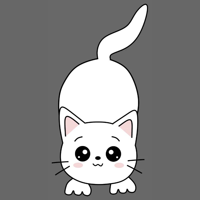 Chat Blanc Blanc Chats Kawaii Chat Mignon