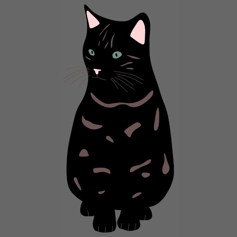 chat noir