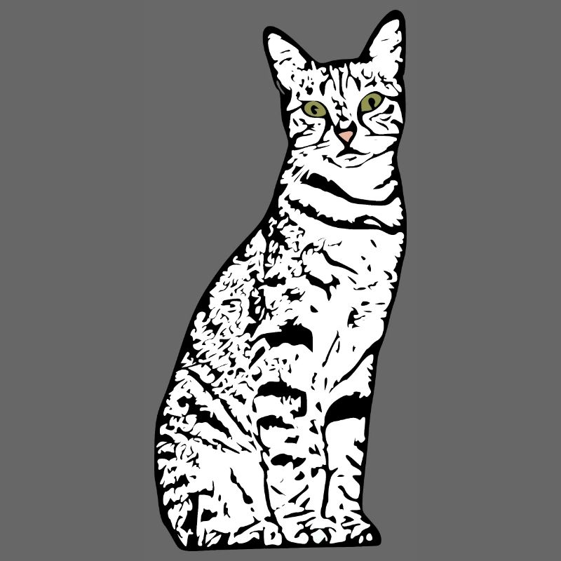 Chat blanc Chat Chat blanc Cadeau
