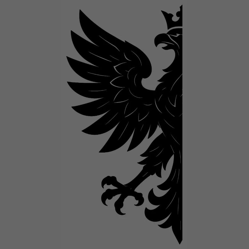 Poland Polska Eagle Flag Flag Black Gift