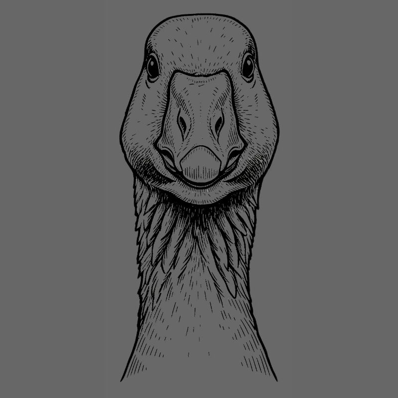 Goose