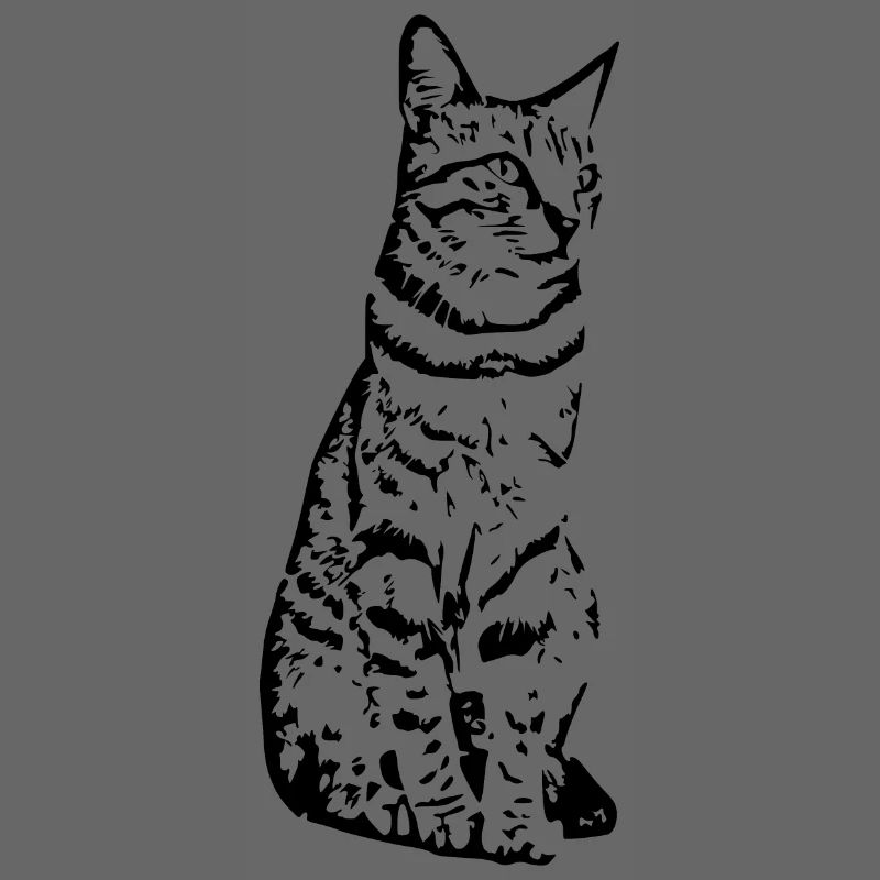 Cat black