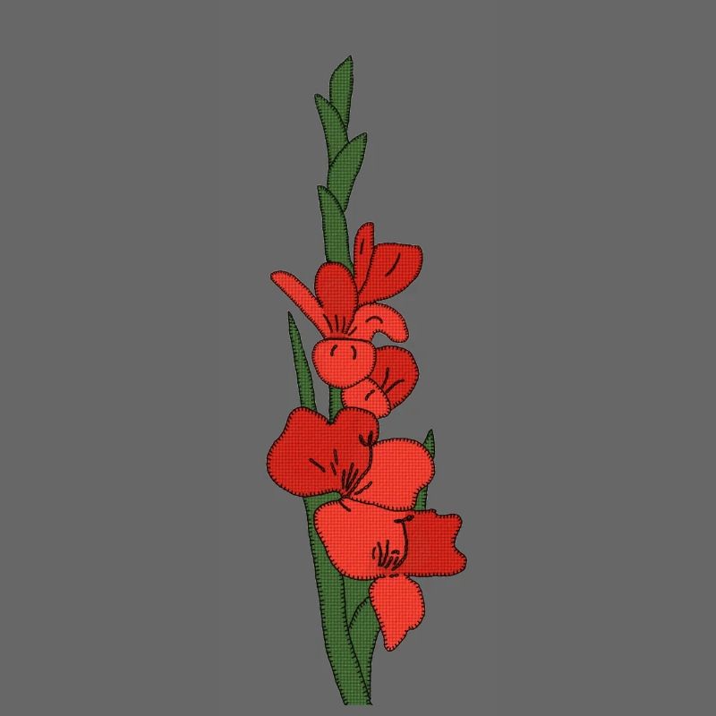Gladiole