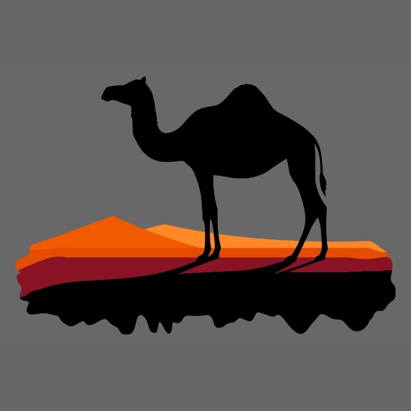 Dromedary in the evening light