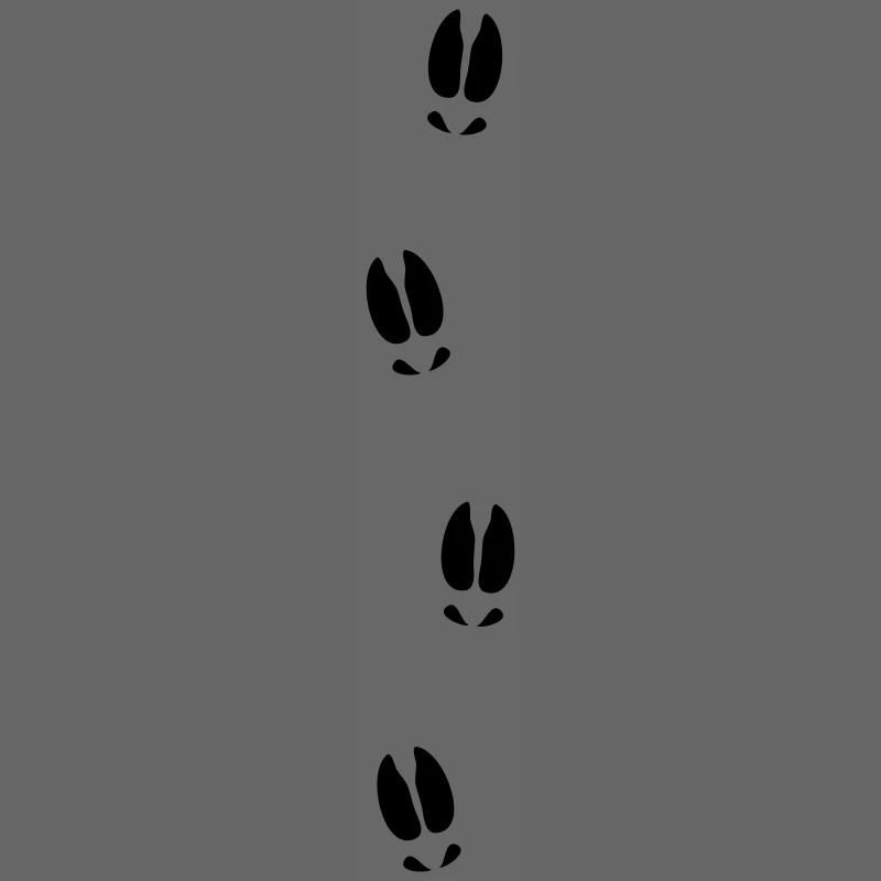 Moose tracks