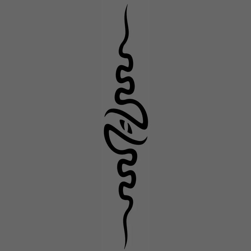 spine_front