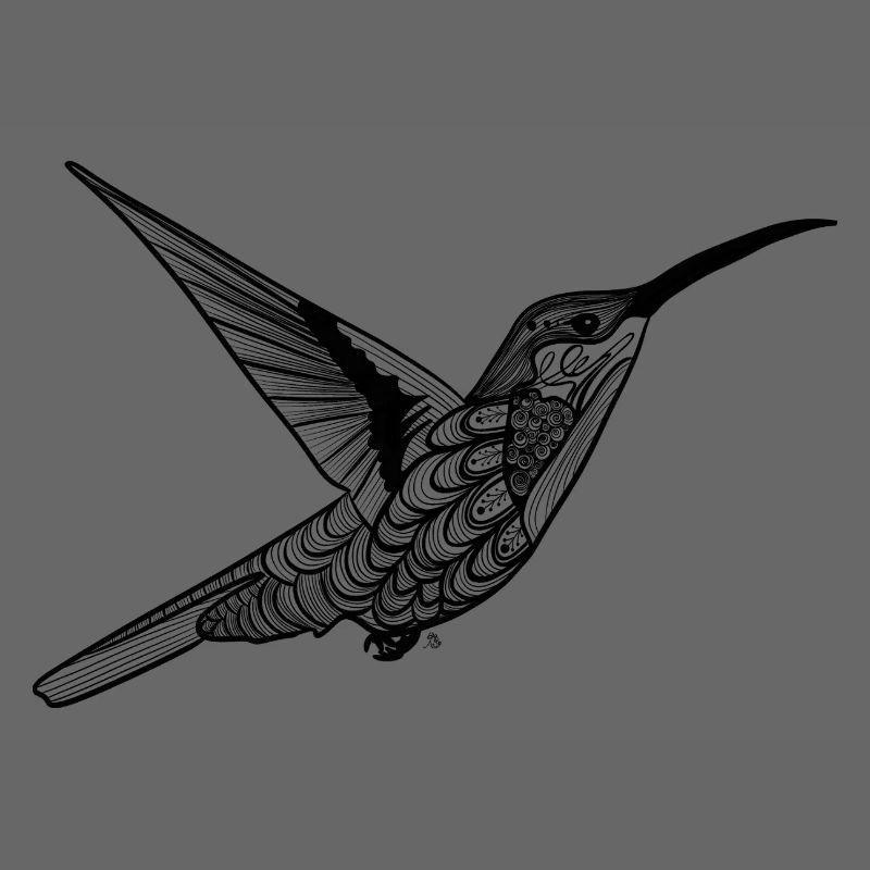 Kolibri