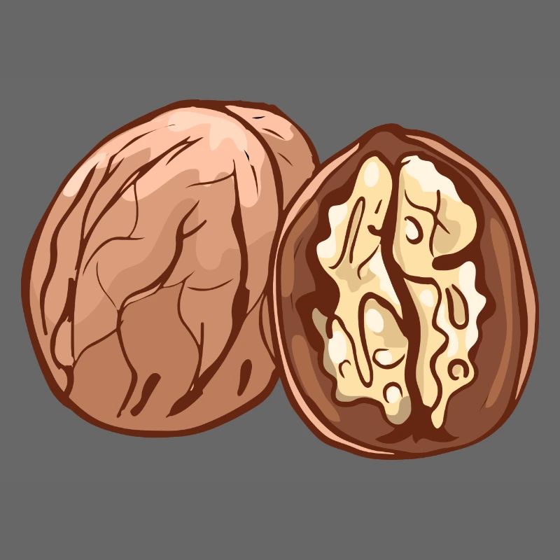 Real walnut nuts nut walnutwalnuts