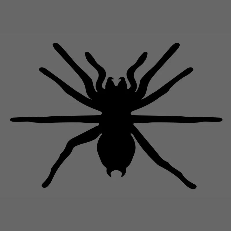 spinne