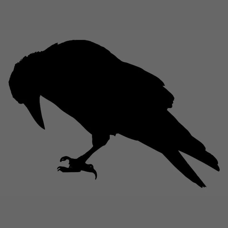 raven