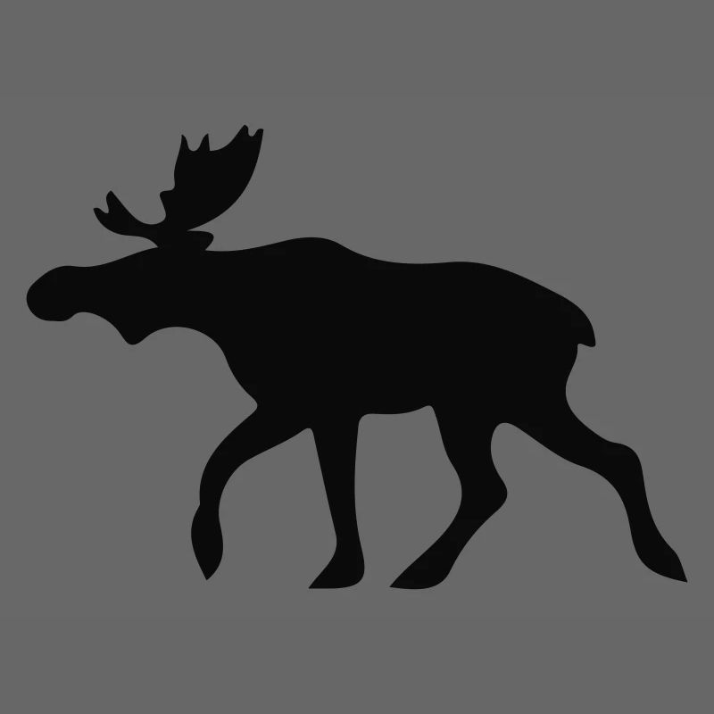 Norwegen - Elch