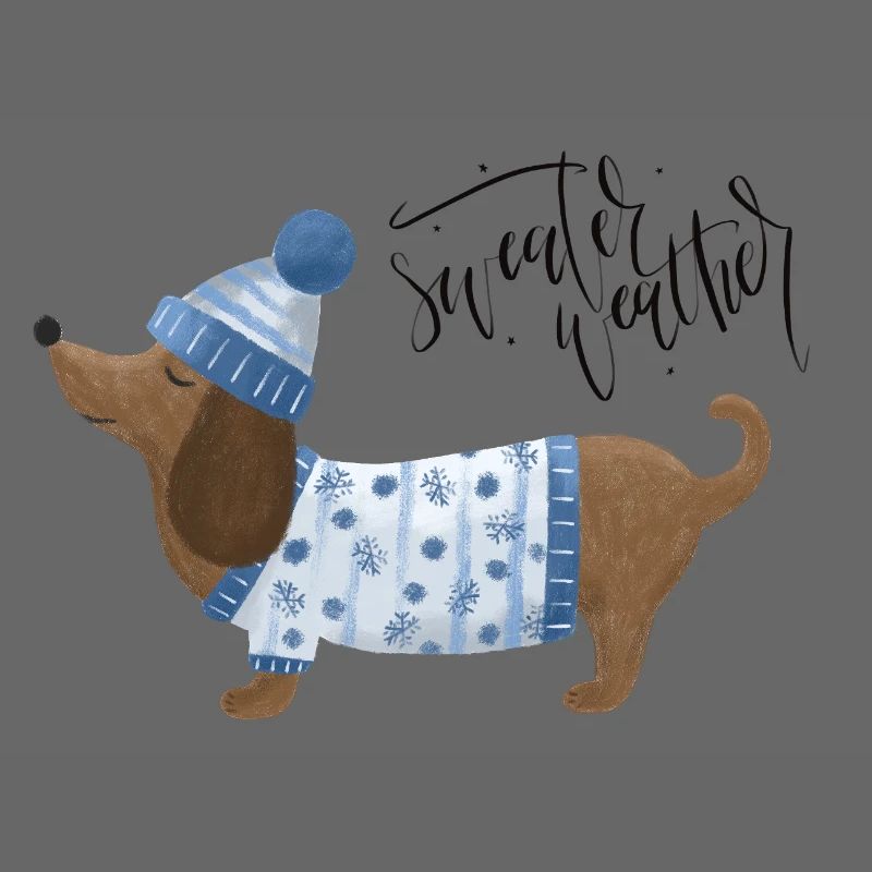 Teckel avec pull et chapeau Pull Météo bleu