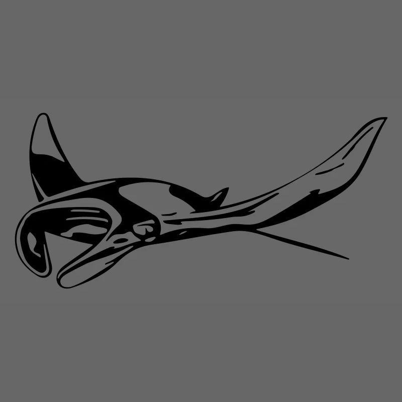 Manta Rochen