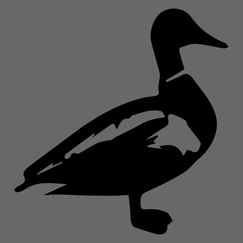 Canard canard colvert