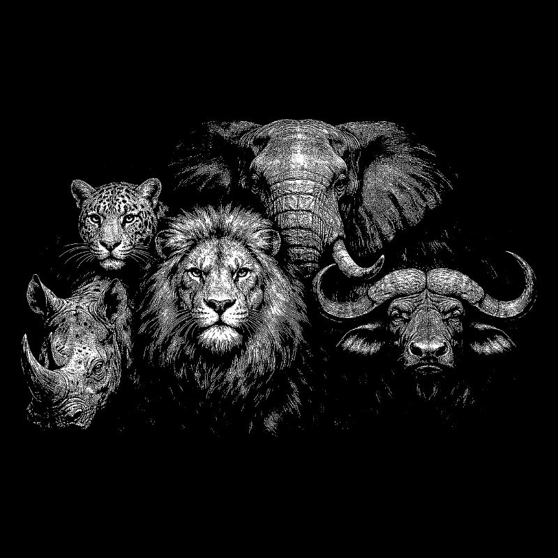 « Big Five »