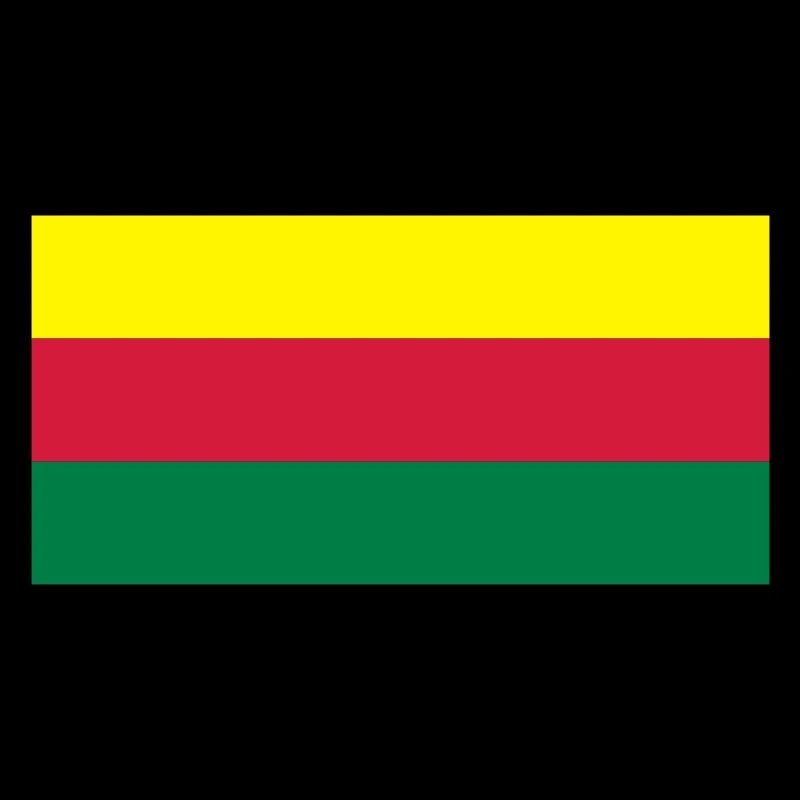 lithuania flag