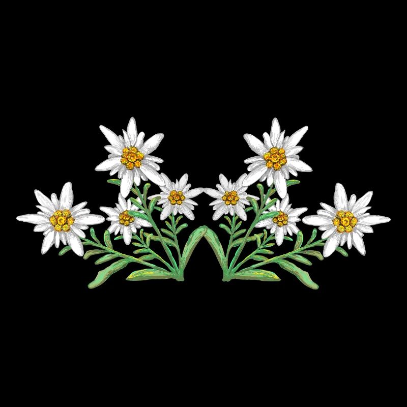 Edelweiss