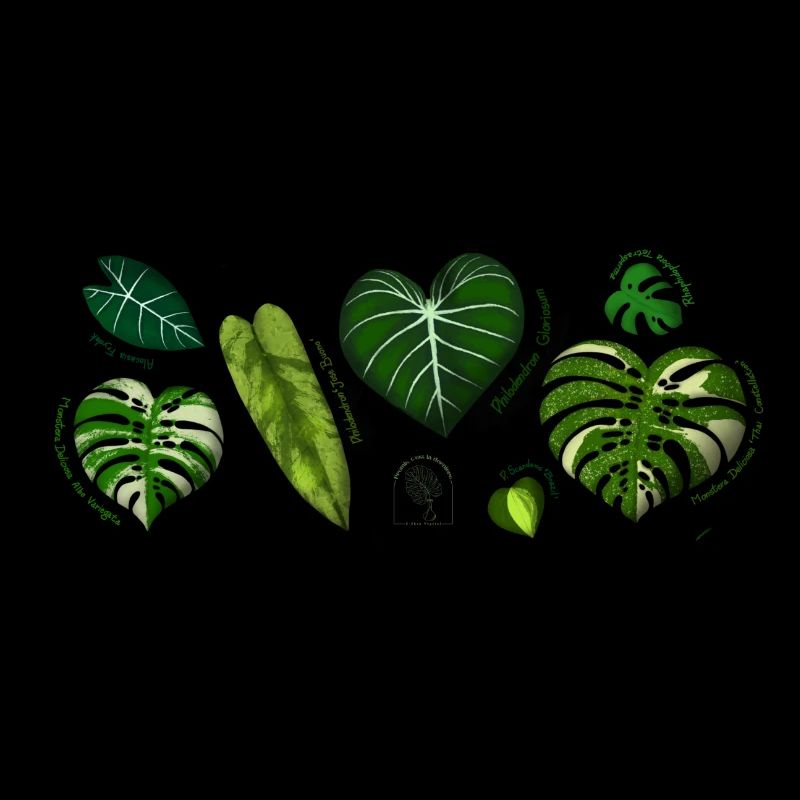 Botanical Strip