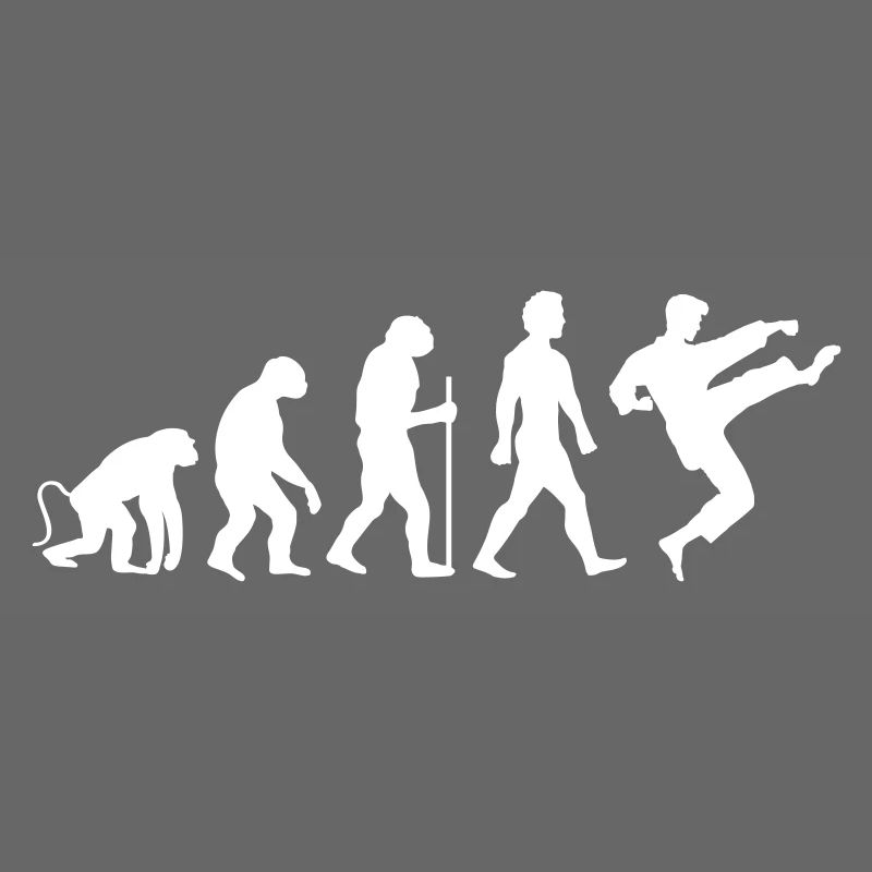 Karaté Évolution