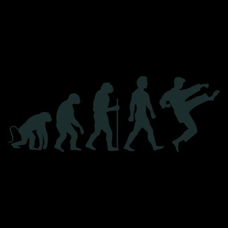 karate evolution