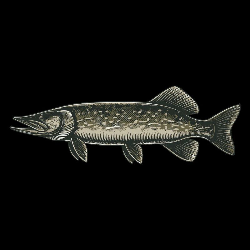 Brochet
