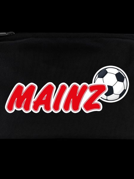 Mainz Fußball Fan