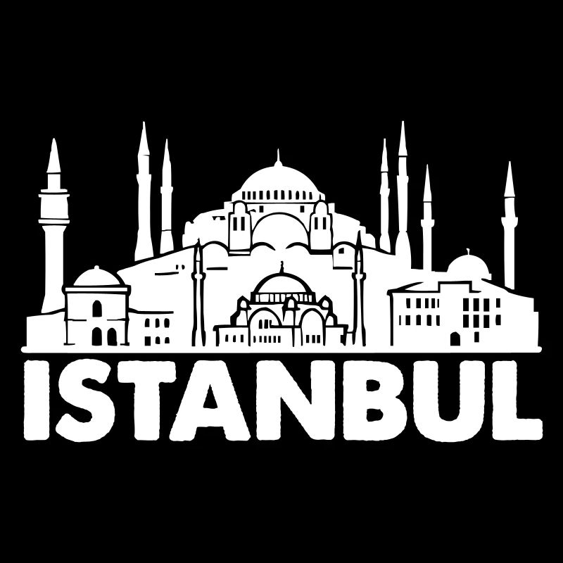 Istanbul Skyline Turkey