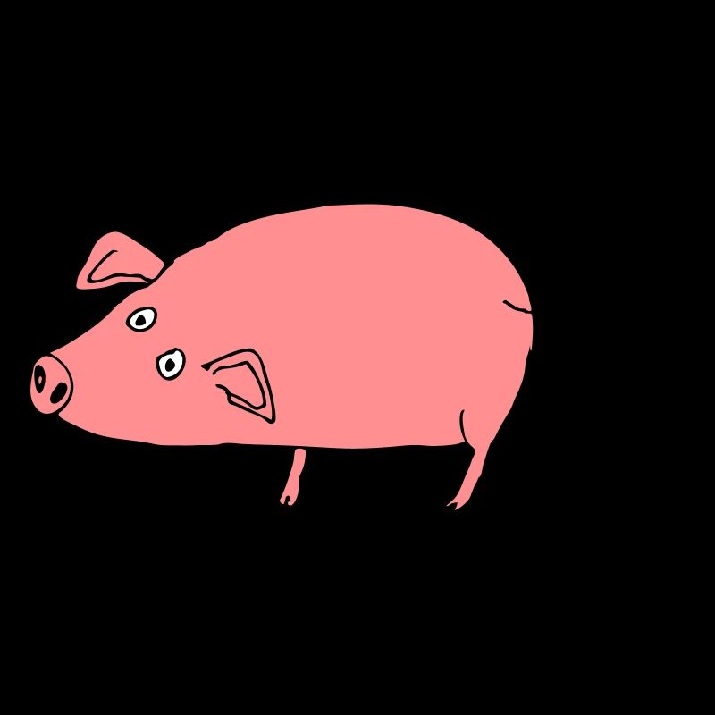 Pig roz3