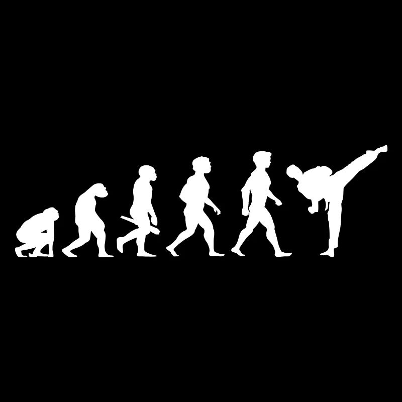 Evolution Karate Kampfsport