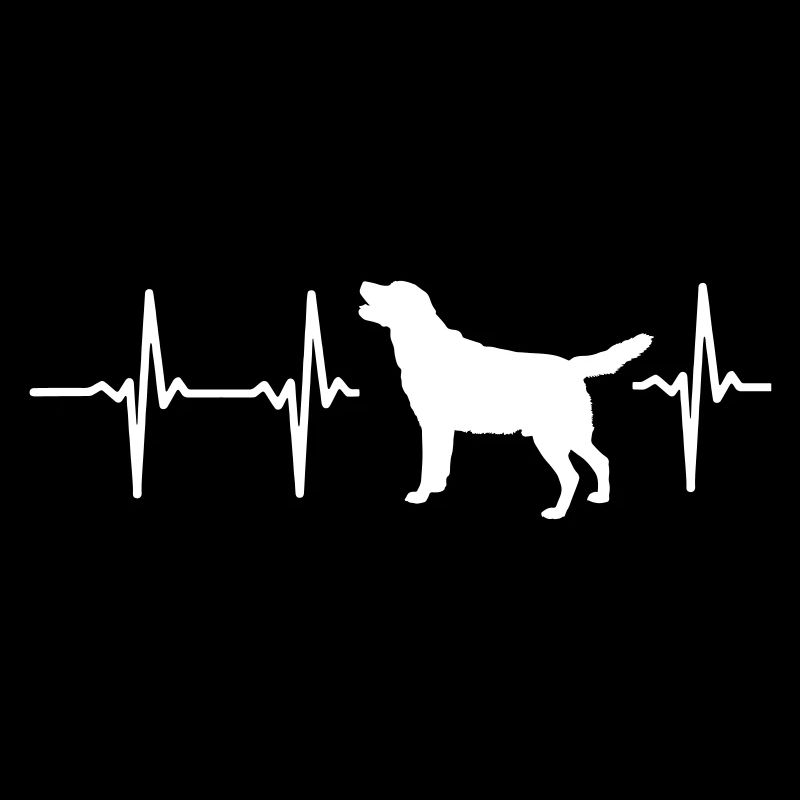 Mon cœur bat pour chiens !