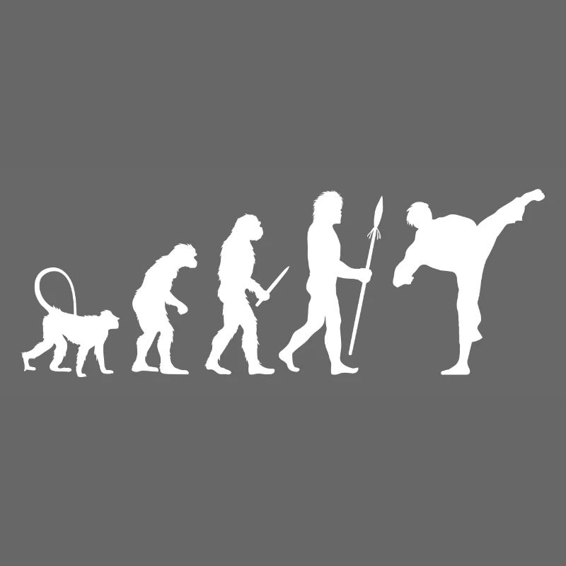 Évolution du karaté