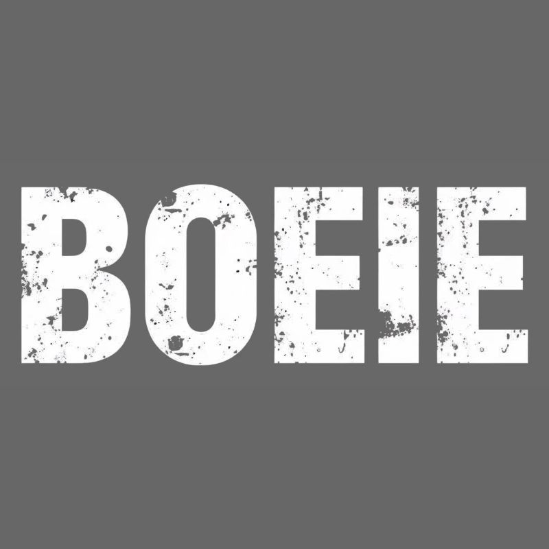 Boo. Antwerp dialect Shirts
