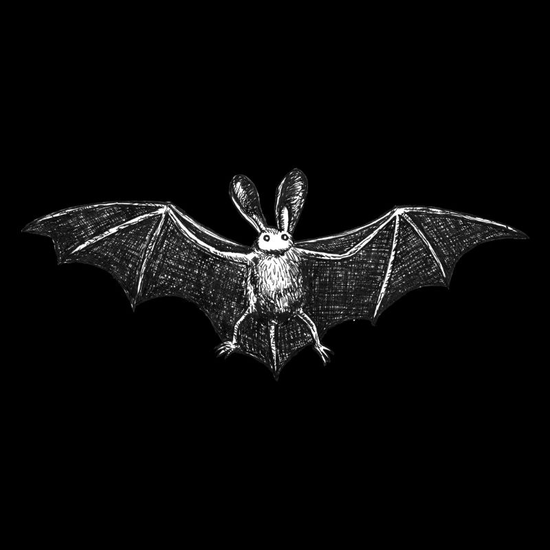 chauve souris