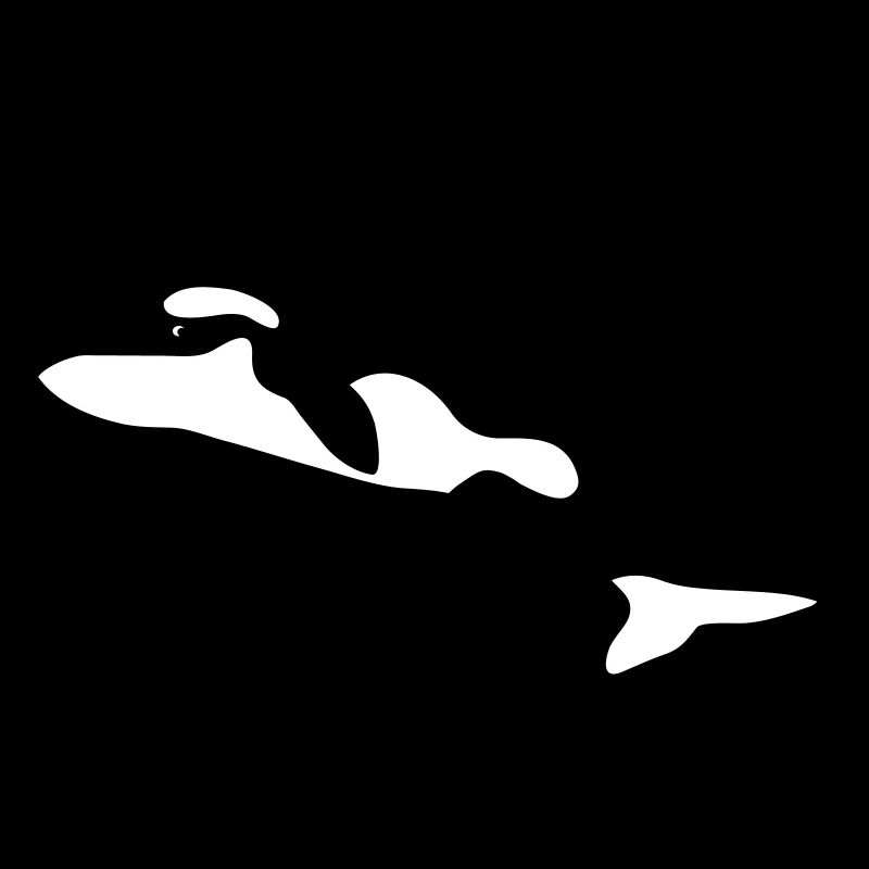 orca orka wal killer whale delfin delphin dolphin