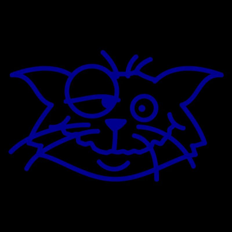Confused Cat Squints Funny Crazy Grimace