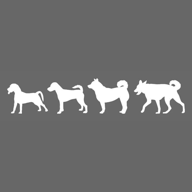 Évolution du chien