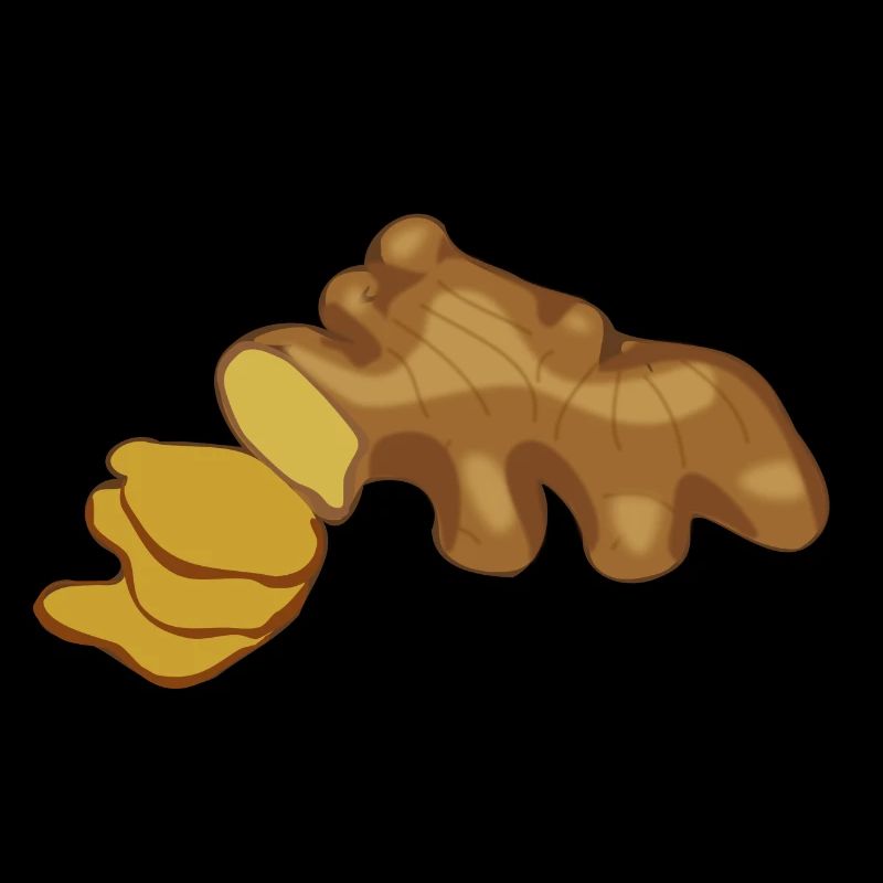 ginger ginger veggie gemuese vegetable1