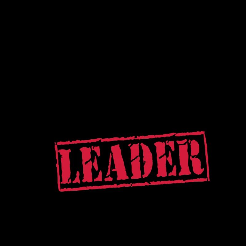 team_leade