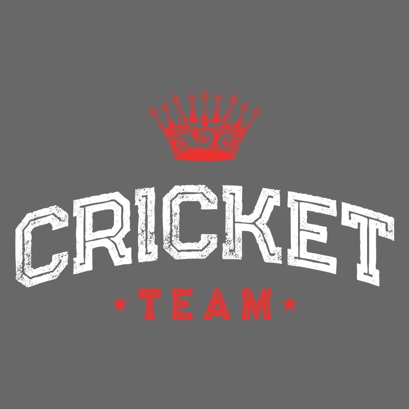 Équipe de cricket