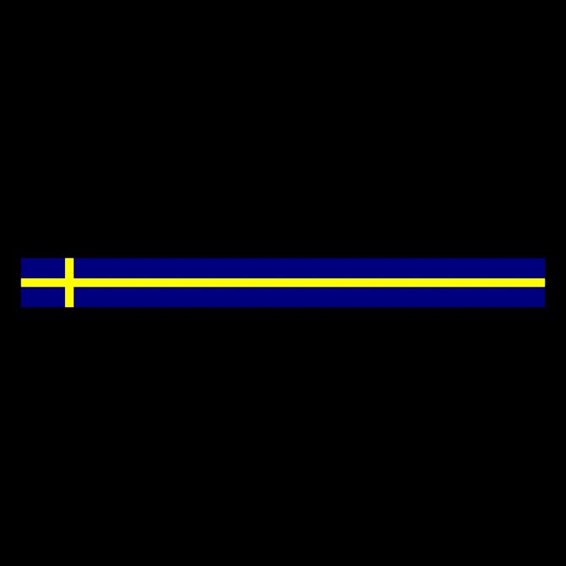 Sweden flag icon