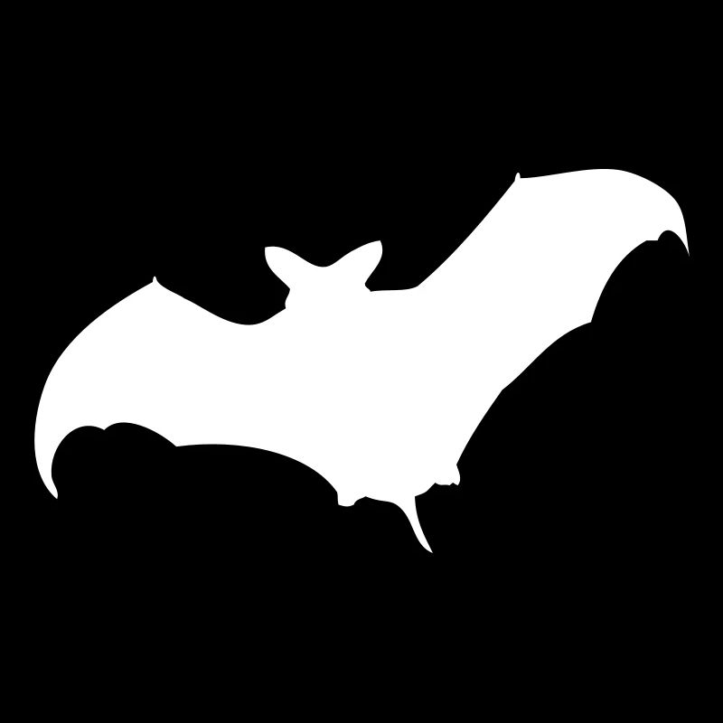 bat, halloween, a nightmare, cemetery, night,