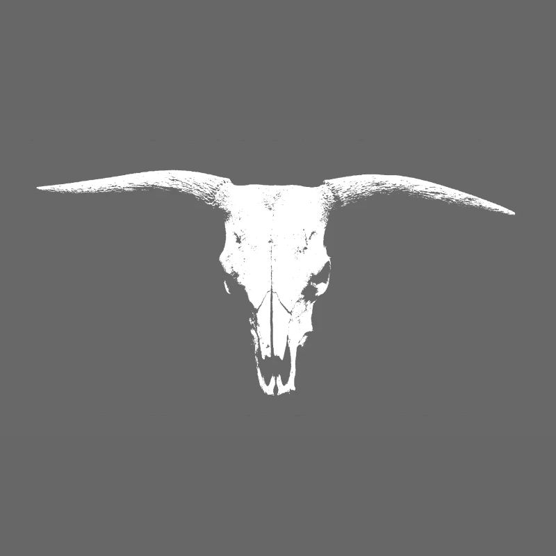 Bull Head Skull Bull Head Cow Bone White