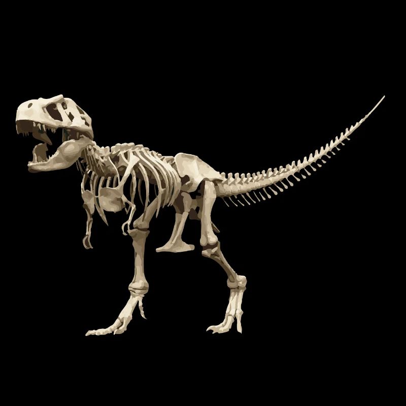 squelette T-rex