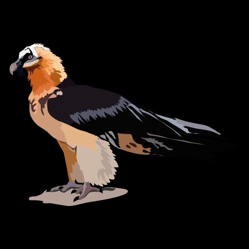 Bartgeier