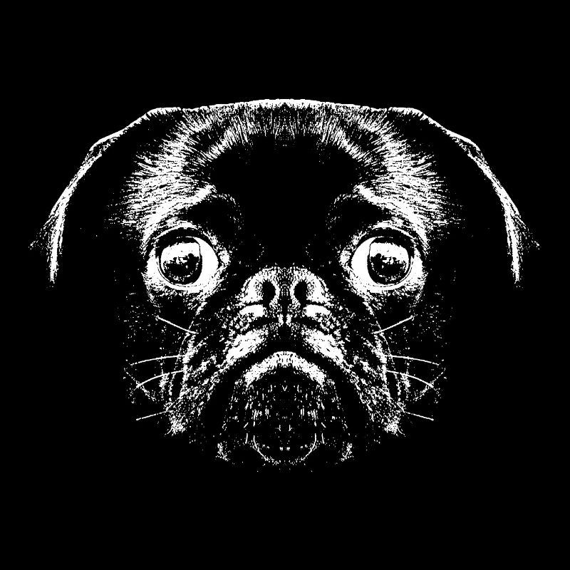 Pug / Face / Head
