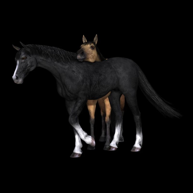 Cheval