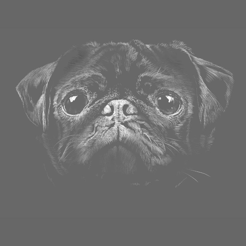 Mops