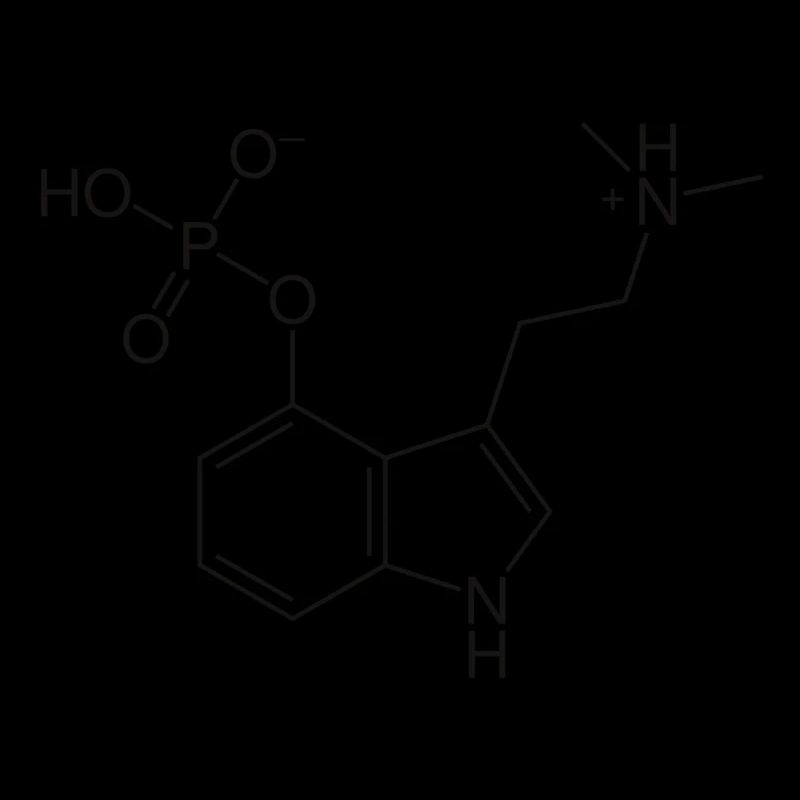 Psylocibine Drogue