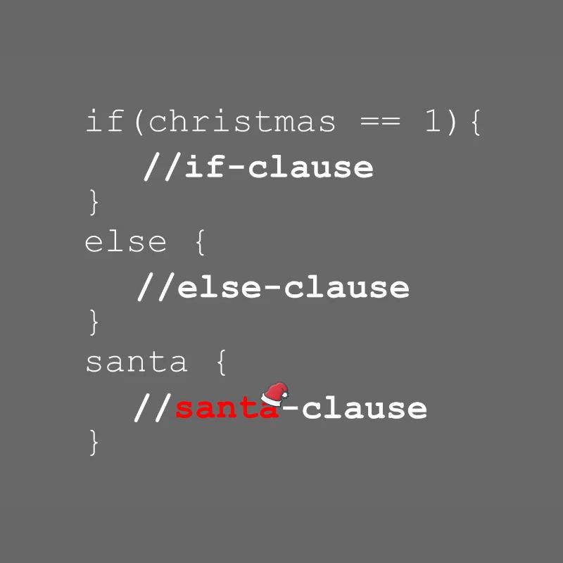 Santa Clause - Christmas programmer gift