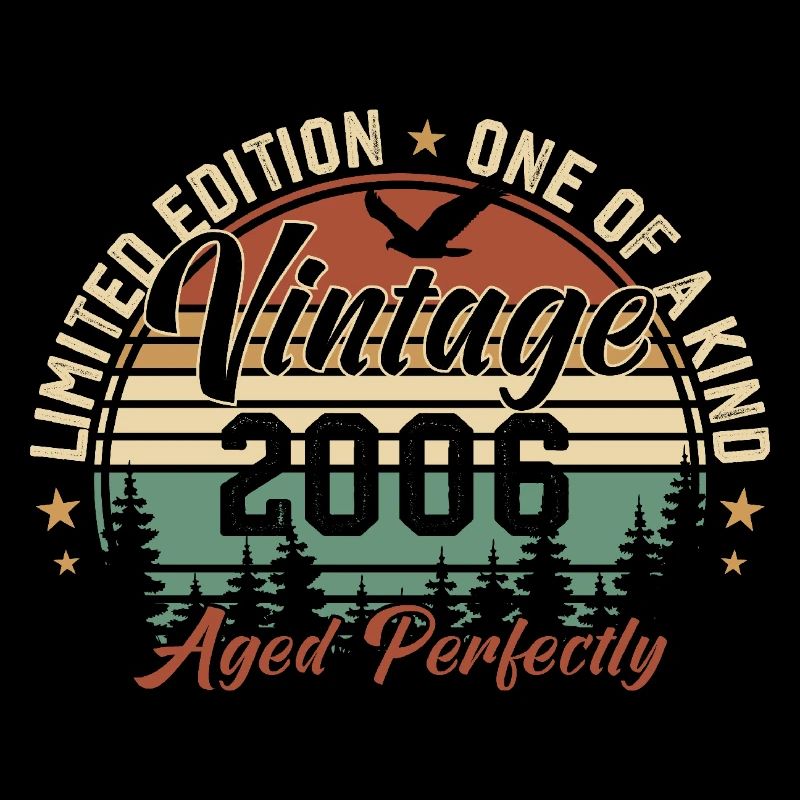 Vintage 2006 Retro 2006 Birthday Gift 2006
